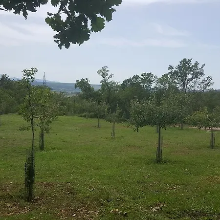 Petra Medjugorje Mostar *